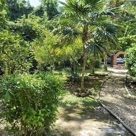 Vila Mini Pini Bird Watching And Cenote Loft Cozumel Exteriér fotografie