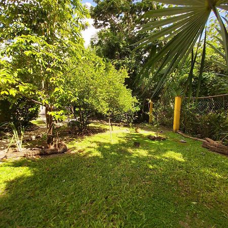Vila Mini Pini Bird Watching And Cenote Loft Cozumel Exteriér fotografie