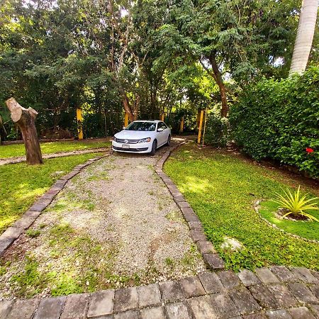 Vila Mini Pini Bird Watching And Cenote Loft Cozumel Exteriér fotografie