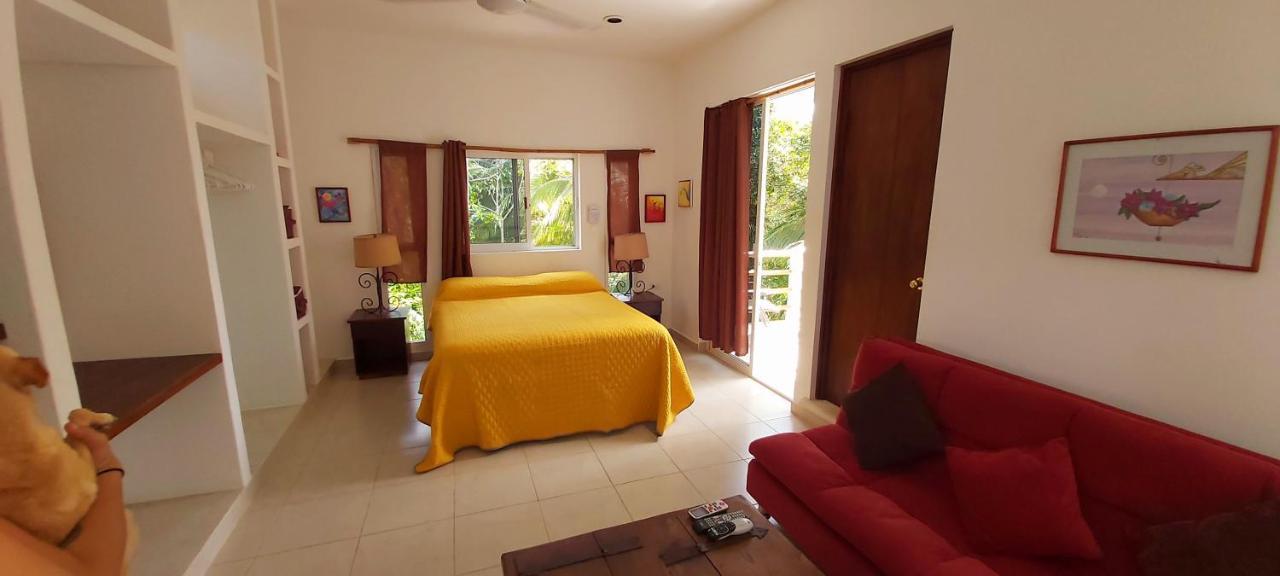 Vila Mini Pini Bird Watching And Cenote Loft Cozumel Exteriér fotografie
