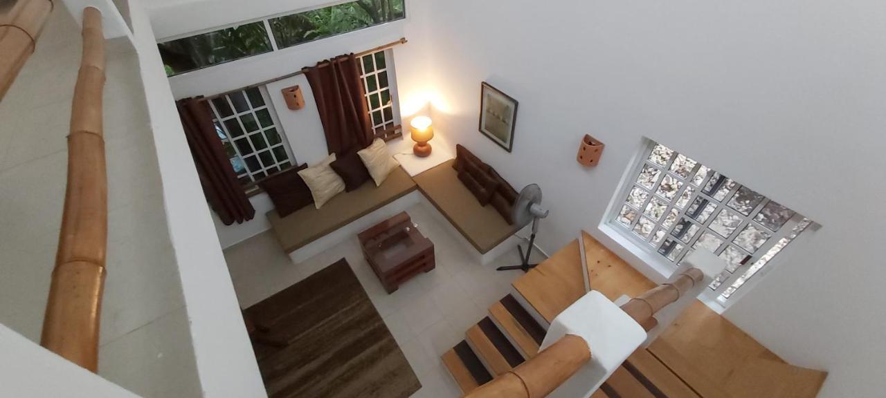 Vila Mini Pini Bird Watching And Cenote Loft Cozumel Exteriér fotografie