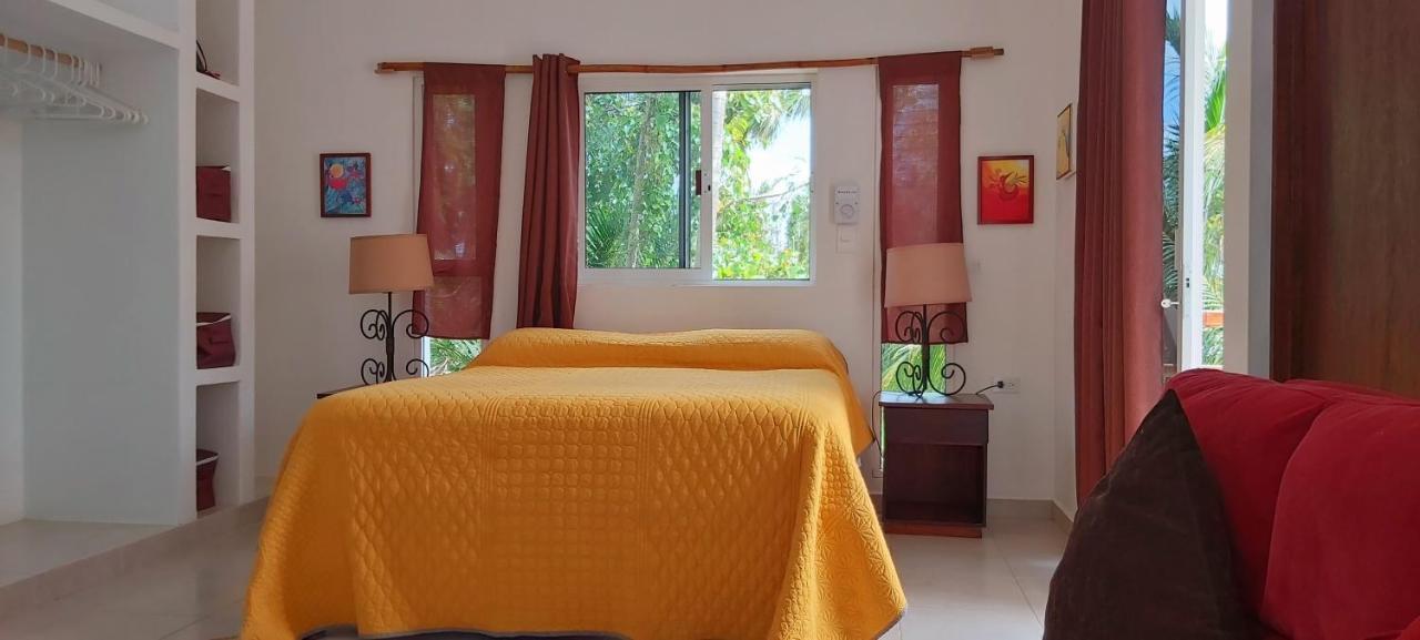 Vila Mini Pini Bird Watching And Cenote Loft Cozumel Exteriér fotografie