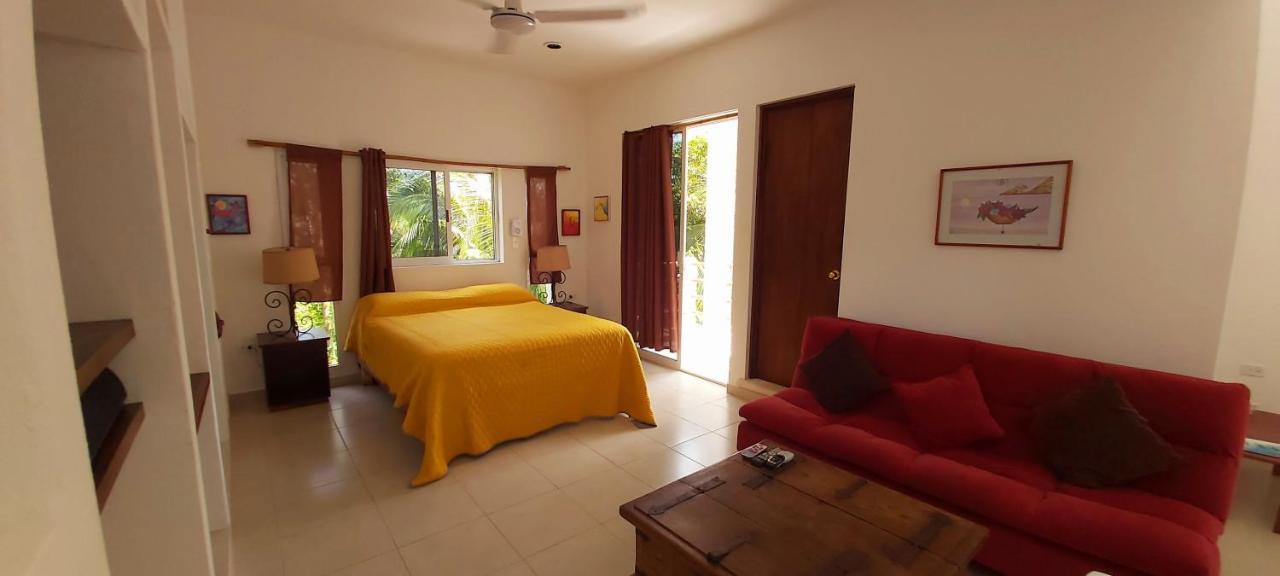 Vila Mini Pini Bird Watching And Cenote Loft Cozumel Exteriér fotografie