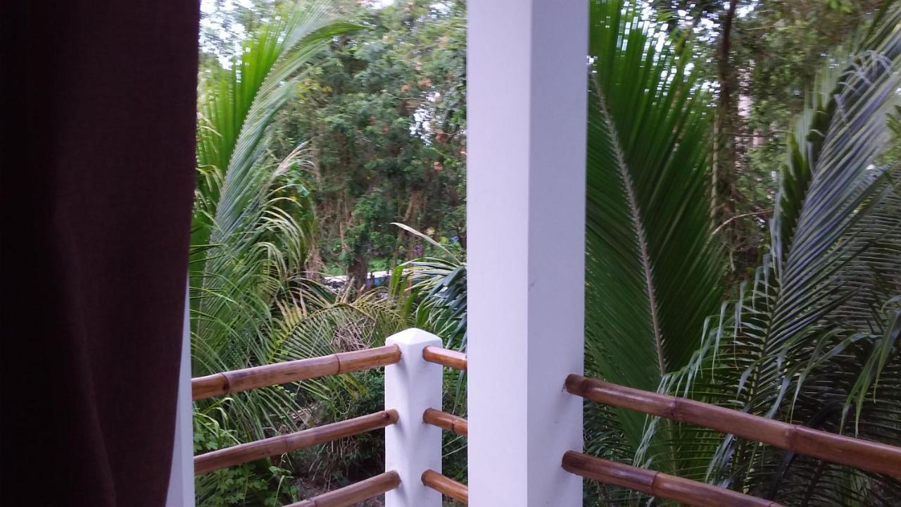 Vila Mini Pini Bird Watching And Cenote Loft Cozumel Exteriér fotografie