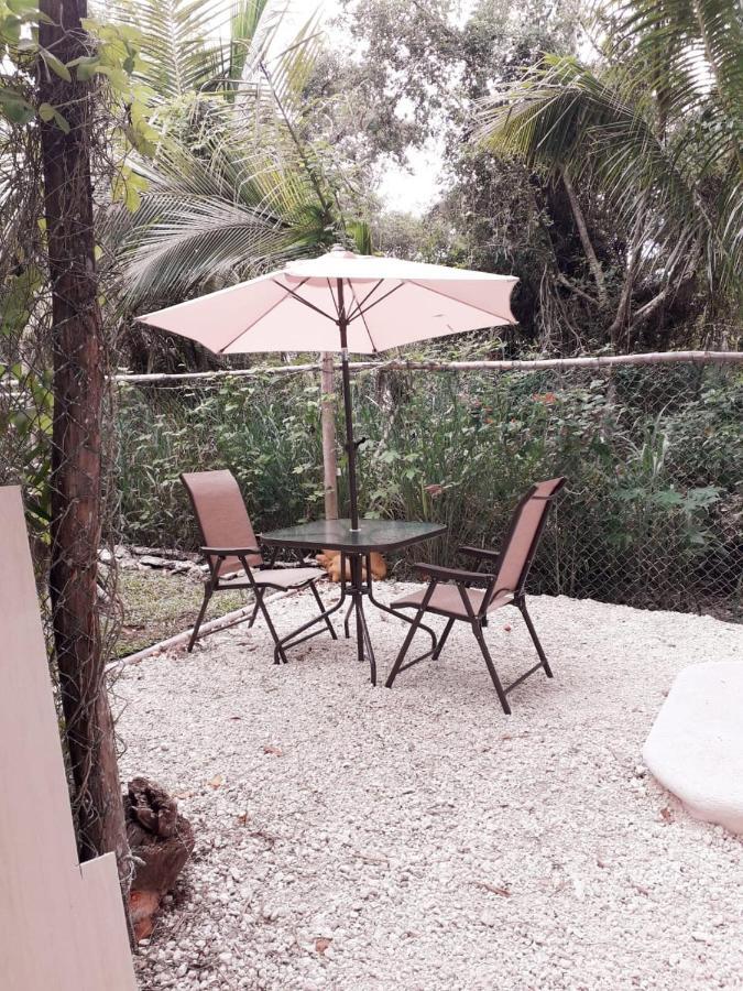 Vila Mini Pini Bird Watching And Cenote Loft Cozumel Exteriér fotografie