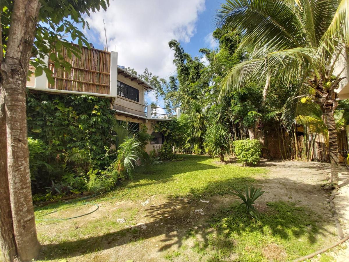 Vila Mini Pini Bird Watching And Cenote Loft Cozumel Exteriér fotografie