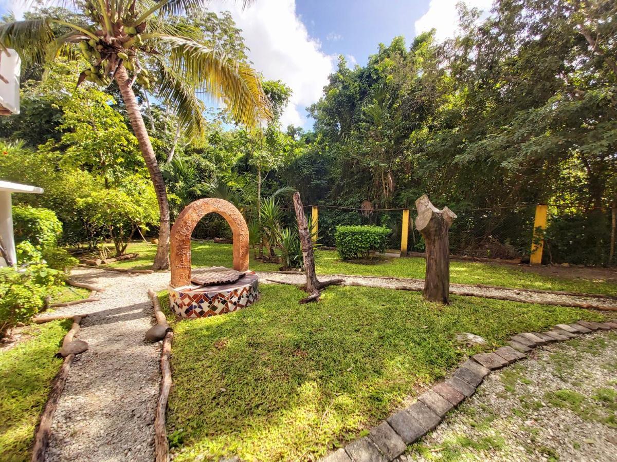 Vila Mini Pini Bird Watching And Cenote Loft Cozumel Exteriér fotografie