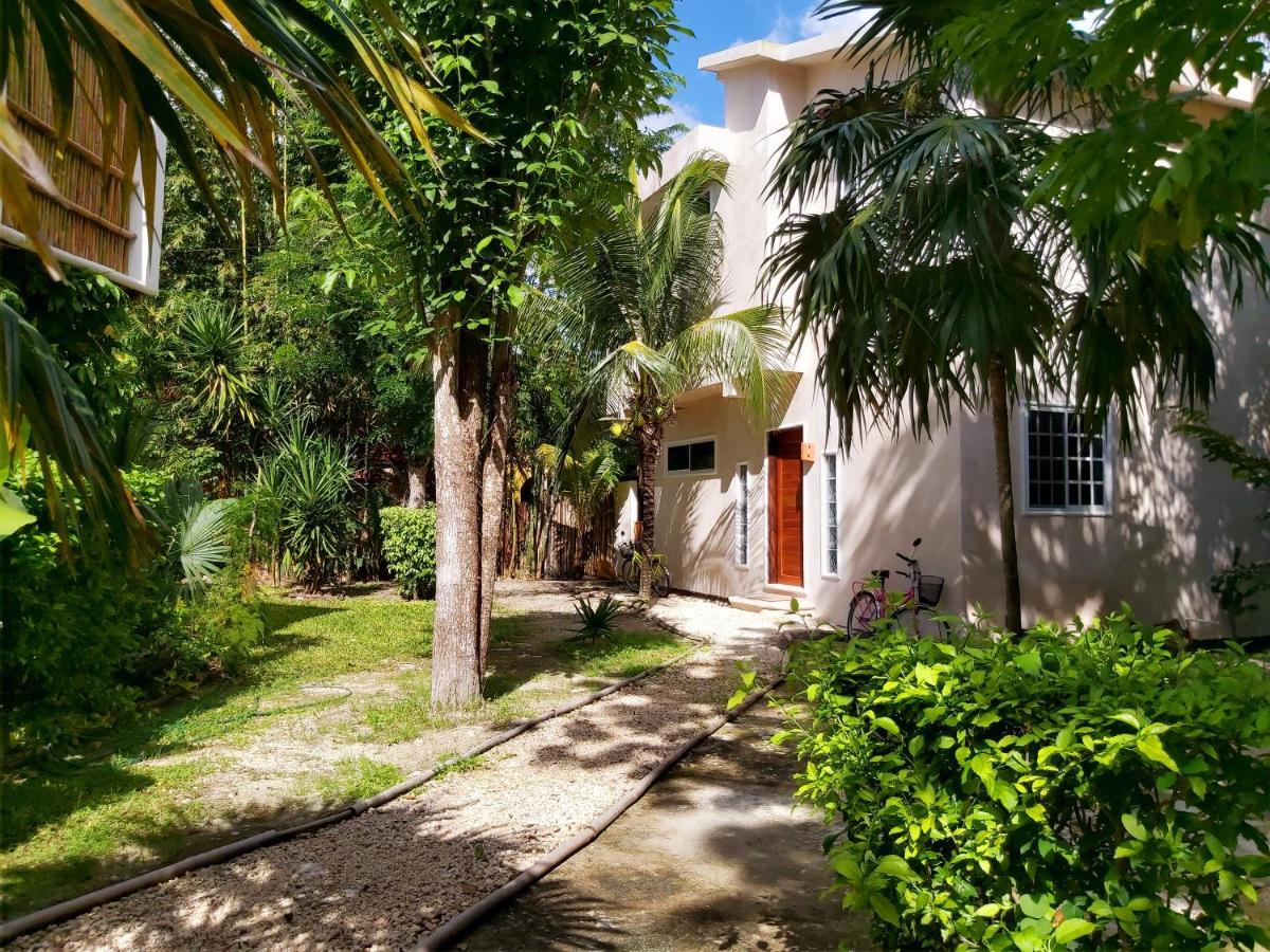 Vila Mini Pini Bird Watching And Cenote Loft Cozumel Exteriér fotografie