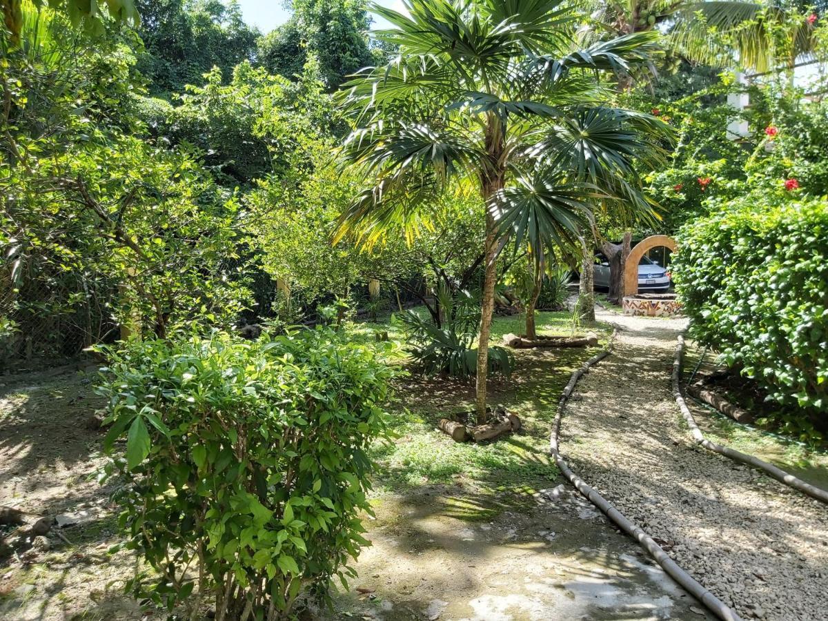 Vila Mini Pini Bird Watching And Cenote Loft Cozumel Exteriér fotografie